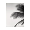 Ensemble de Posters Surf  6 PCS